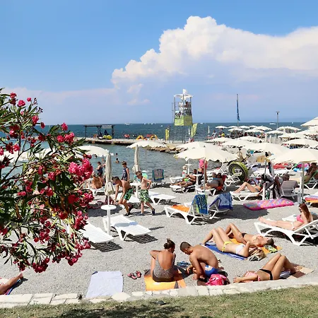 Haliaetum - San Simon Izola