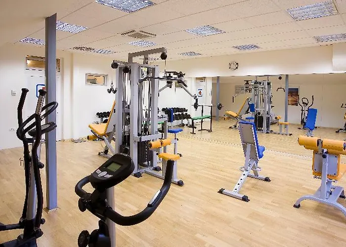 Haliaetum - San Simon